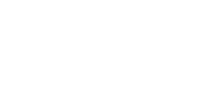 libtorrent logo